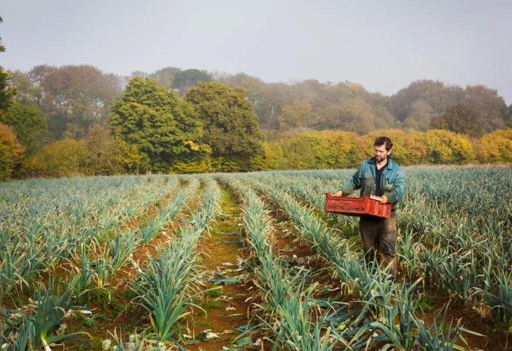 UK farmers