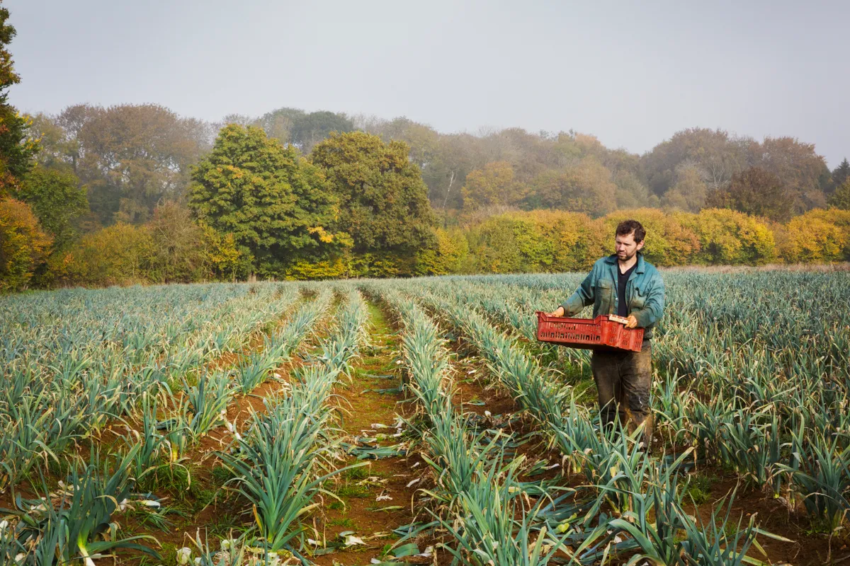 UK farmers