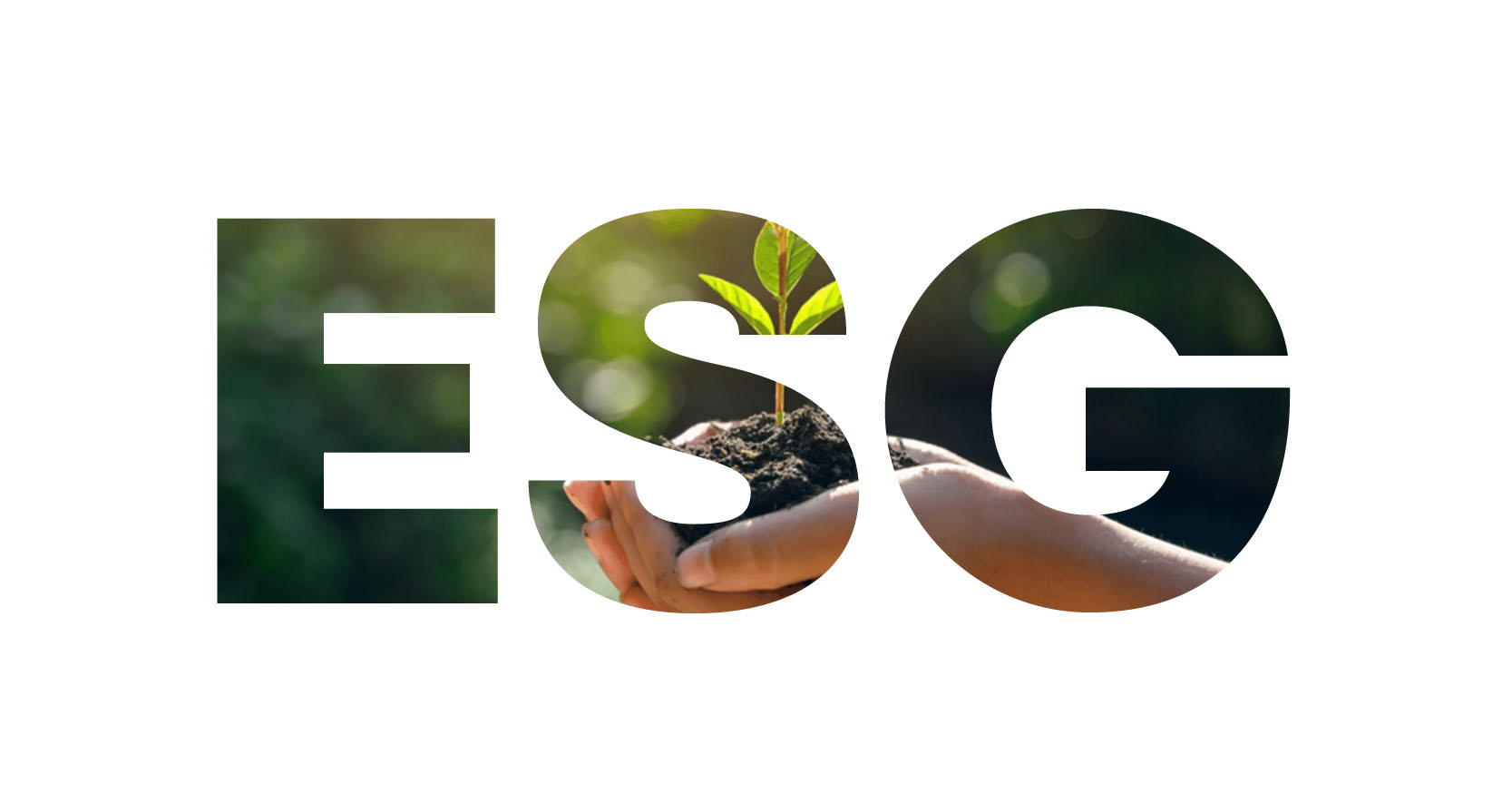 Green Bonds Issuance Hits Record $500B; Investors Flock to ESG Funds Amid Climate Warnings